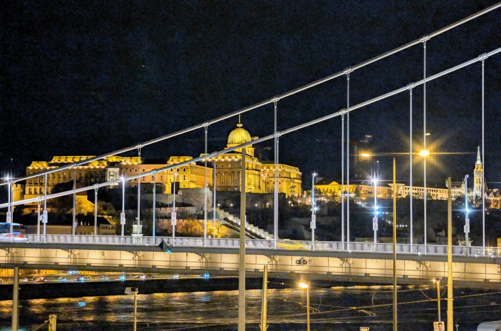 Illuminated castle behind bridge at night