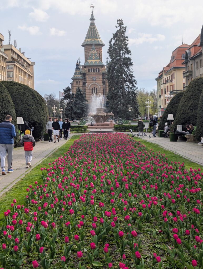 Timisoara