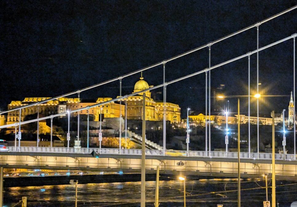 Illuminated castle behind bridge at night